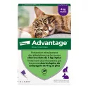 Pipetas antipulgas Advantage 80 para gatos y conejos