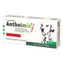 Anthelmin F or XL Versatile Dewormer for Dogs
