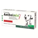 KRKA Anthelmin Versatile Dewormer for Dogs 2 tablets
