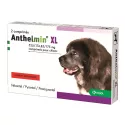 KRKA Anthelmin Versatile Dewormer for Dogs 2 tablets