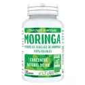 Folhetos de moringa vegana orgânica LT Labo