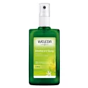 WELEDA CITRUS DEODORANT 100ML