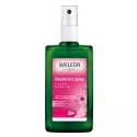 Weleda Rose Musquée Déodorant Spray Parfum Floral 100 ml