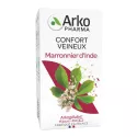 Arkogélules Marronnier d'Inde Confort Veineux Jambes Légères Bio 45 gélules