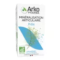 Arkogélules Prêle Reminéralisation Bio 45