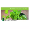 EPS Lemon balm Pileje fluid extract