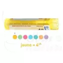 4CH Granules Tube HOMEOPATHIE BOIRON
