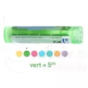 5CH Granules Tube HOMEOPATHIE BOIRON