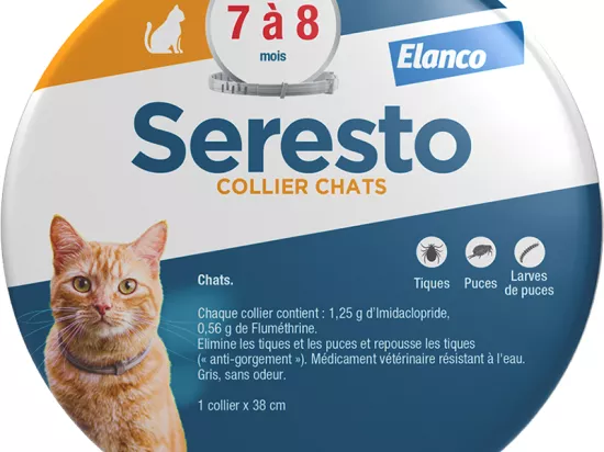 Seresto Cat flea collar elanco in pharmacies