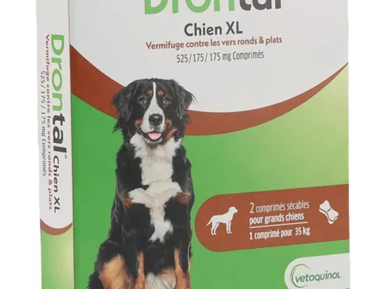 Drontal P XL Chien Comprimés Vétoquinol en pharmacie vétérinaire