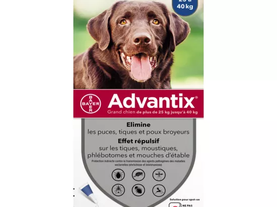 Advantix Large Dogs over 25 kg or Pipettes in pharmacies