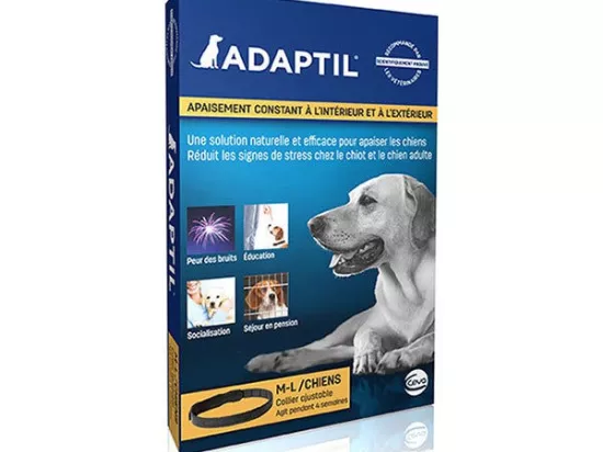 hundeleine aus kletterseil Kletterseil-Mix Leine Aqua – GARFY DOGWEAR