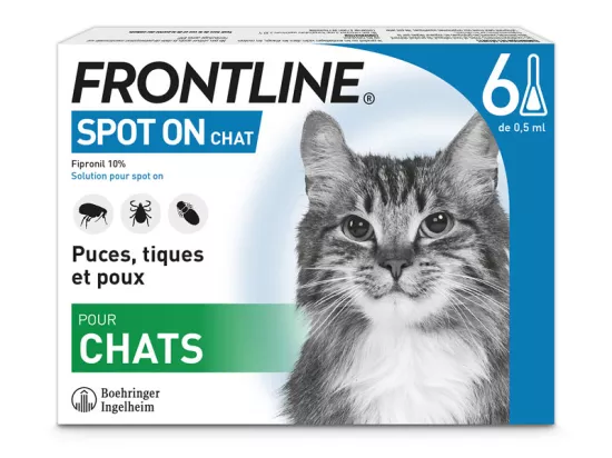 Buy FRONTLINE Cat Kitten Spot on 6 Pipettes in pharmacy