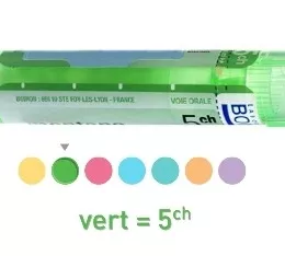 Lachnanthes Tinctoria 4CH, 5CH, 7CH, 9CH, 15CH Granulat Boiron | 5 CH | Tube 80 Granulat 4 g.