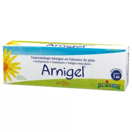 ARNIGEL Boiron 120 G Entzündungshemmendes Gel